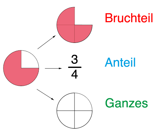 Bild Prozente und Prozentrechnung
